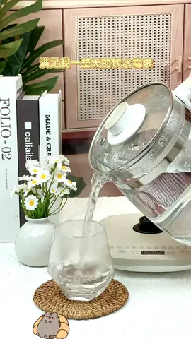 Health pot#goodthing #tiktok #Home 