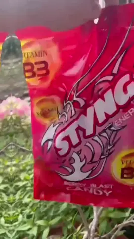 #keo bo huc .keo sting thái # vi chua chua ngot ngot ăn rat la cuon nha . Đat kẹo ơ đay nha @988 năm 57tam 57#