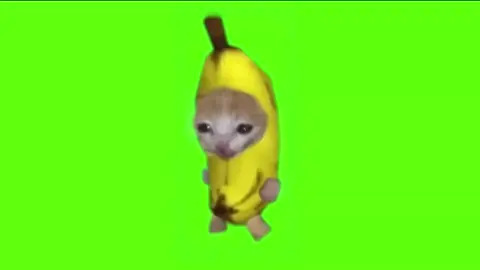 nih mentahannya@bagas.kit #meme #cat #kucinglucu #memekucing #greenscreen #mentahan #fyp #fypシ゚ #xzycba