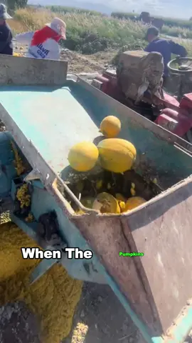 #deliciousfood #bestvideo #fyp #foryoupage #usa🇺🇸 #foodtiktok 