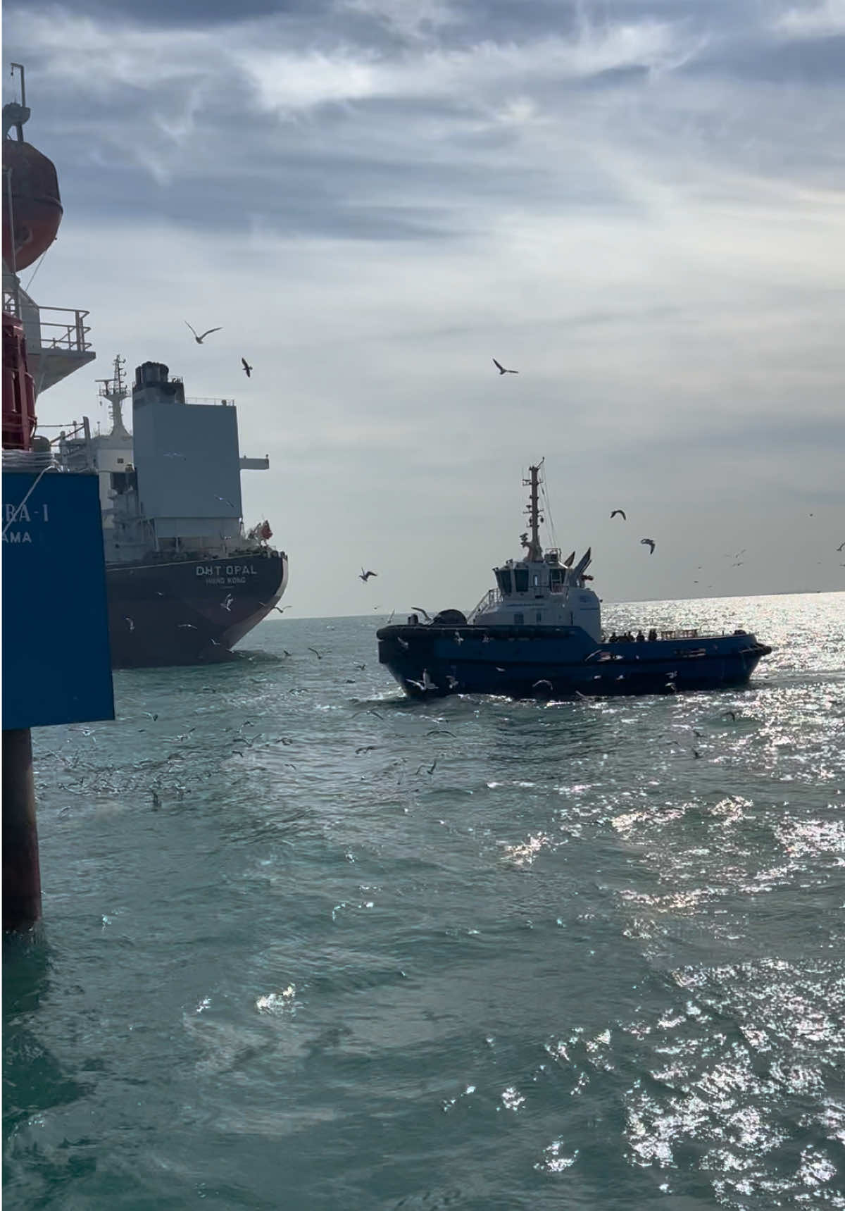 #ميناء_البصرة_النفطي_ميناء_البكر_سابقاً #ميناء_الفاو_الكبير #ميناء_ام_قصر #بحر_الخليج #بحار #شعب_الصيني_ماله_حل😂😂 #تصويري📸 #ترندات_تيك_توك #اكسبلورexplore 