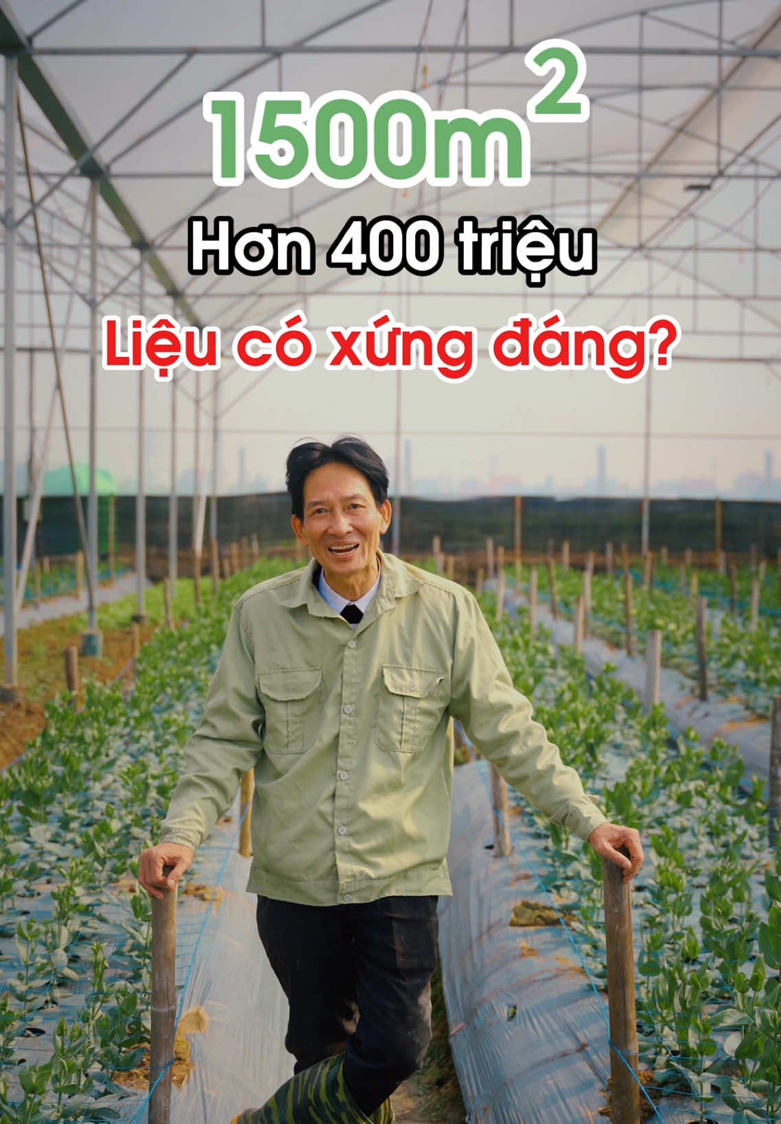 Đầu tư số tiền lớn cho nhà màng 1500m2 theo bạn liệu có xứng đáng? #datmehuuco #tainguyen #chamsoccaytrong #nongnghiepxanh #huuco #congnghe 