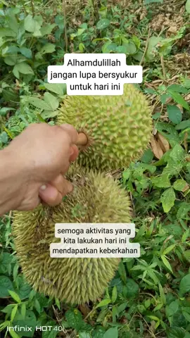 #CapCut#bujangdusun #sorotan #fyp #anakdesa #rambutanmasam 