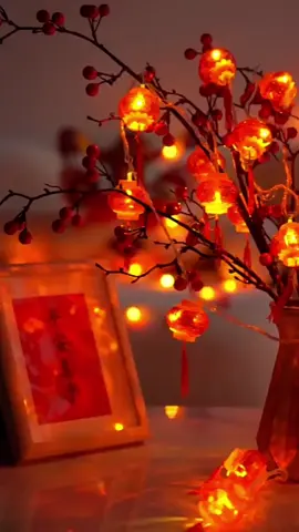 Đèn lồng mini lung linh đón Tết #decor #nickdangdoibung #denlong #denlongtrangtri #trangtri #trangtritet #tet 