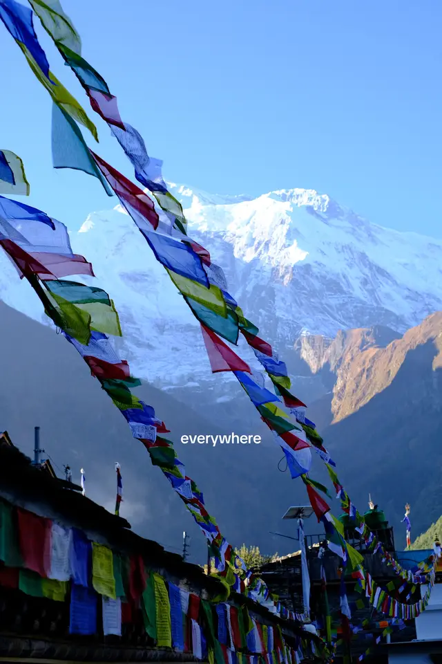 #Hiking #mountain #mountains #hikinglife #hikingtok #annapurna #trekking #hikingadventures #annapurnacircuit #everestbasecamp #travel #Outdoors #nature #himalayas 