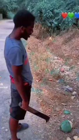 Mi Bomboclat coconut 🥥 