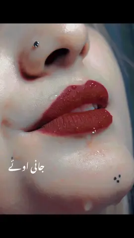 @Baبu Maلik Awaن🇵🇰 @🔷حئیرا اعوان🔷 