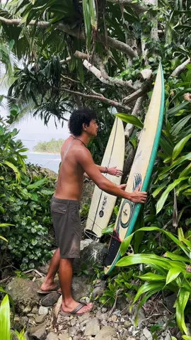 island life>>>