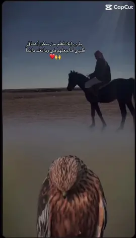 ##اكسبلور #حفرالباطن_الان #