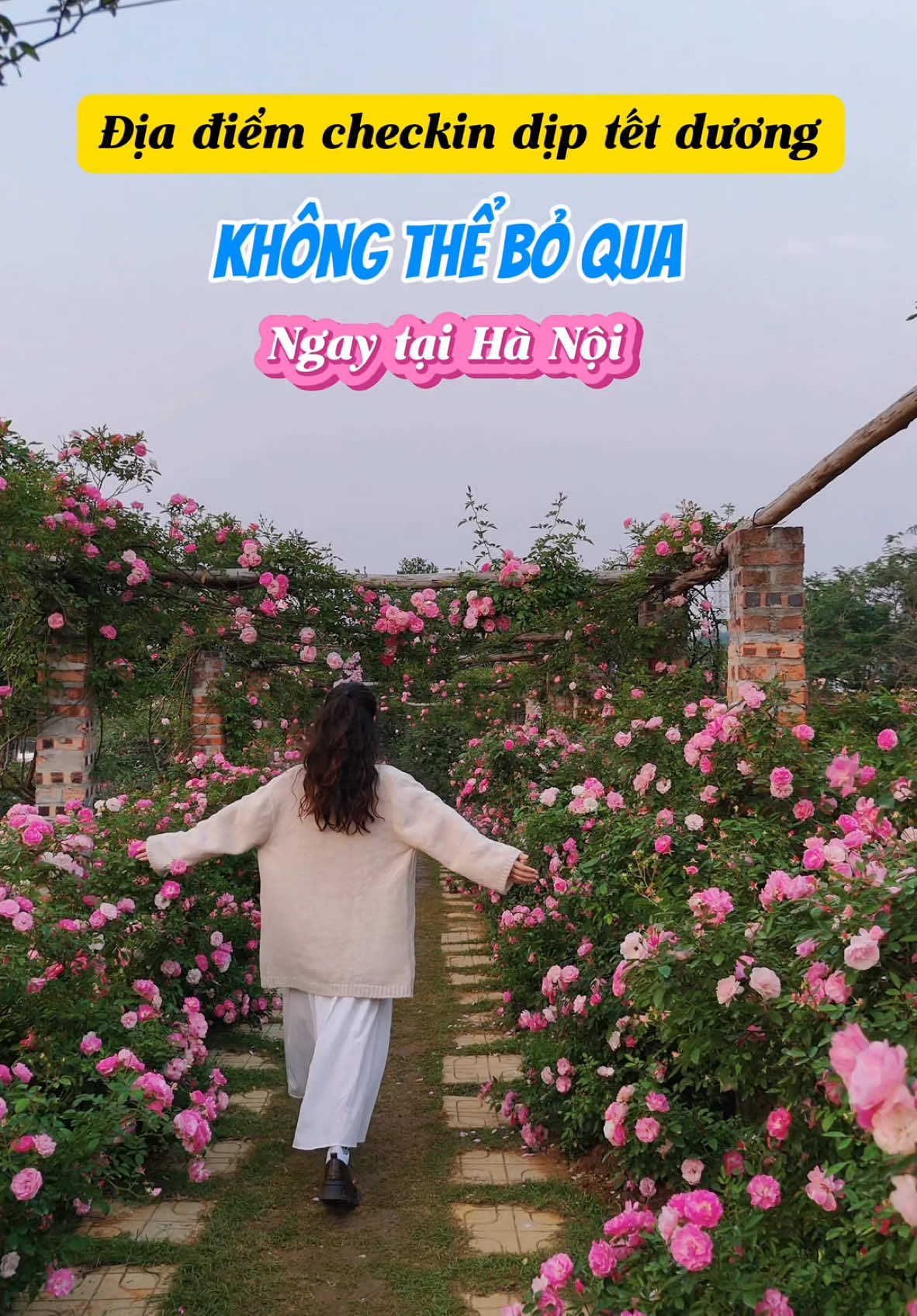 Lạc vào khu vườn cổ tích ngay tại Hà Nội #anrosefarm #rose #hoahong #diadiemsongao #hoahongmelinh #chill #checkin #tet2025 #viral 