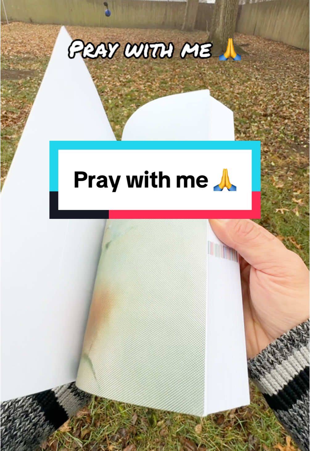 Pray with me. #praywithme #pray #prayer #godsword #godswordispowerful #prayforme #biblestudytips #biblestudytime #selfhelpbooks #selfhelptiktok 