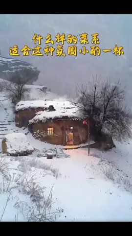 #snowfall #wintervibes #heavysnowfall #cold #viralvideo 