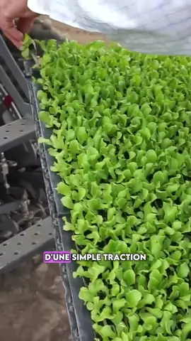 Un système complet pour planter facilement et de manière écologique #intéressant #lesaviezvous #agriculture #machine #agricole #invention 