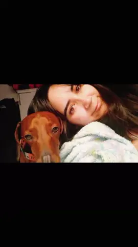 salchisiesta intensa ✨️