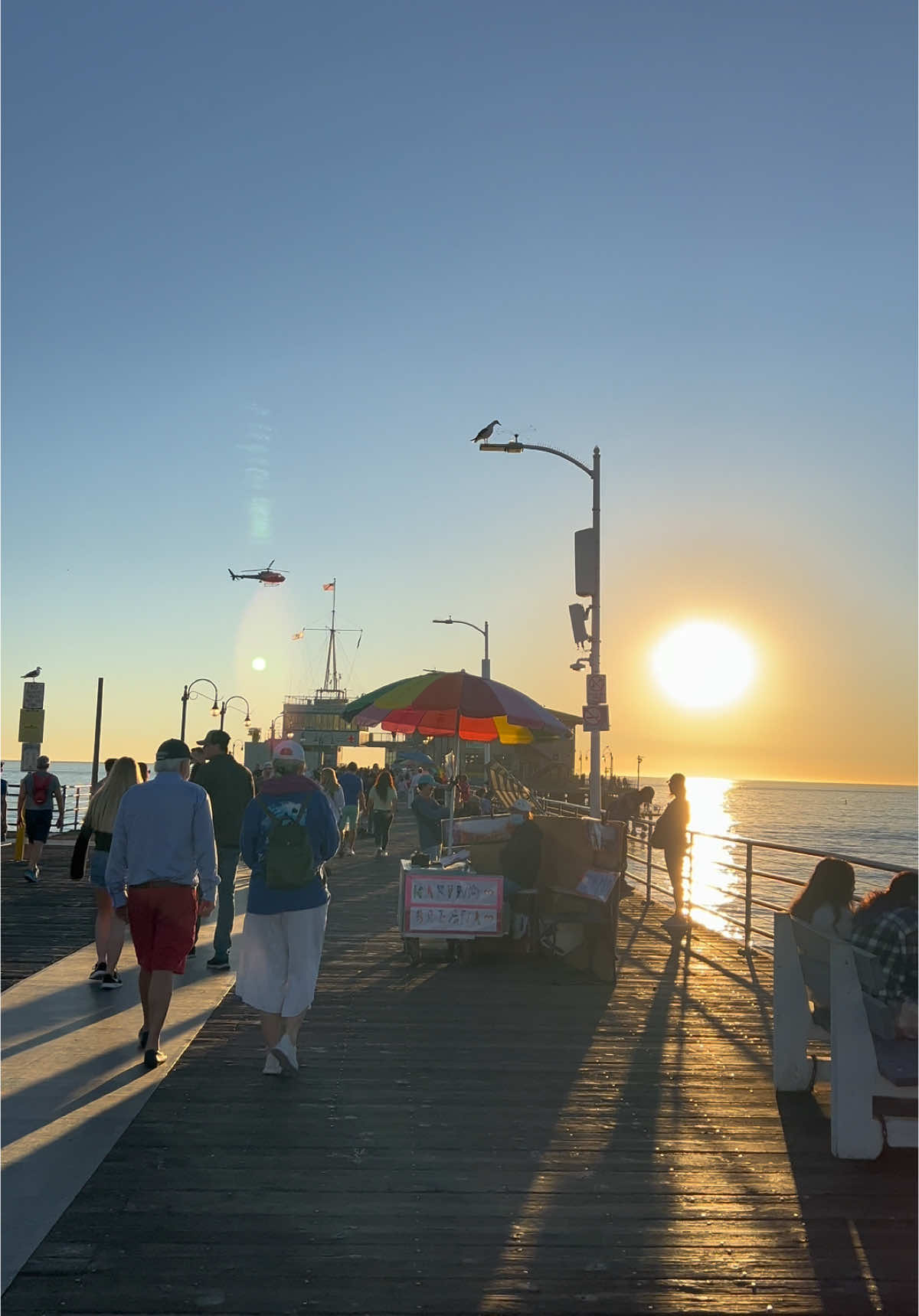 Los Angeles ❤️🇺🇸🌴☀️🌴 🫶🏻 #spynyc🗽 