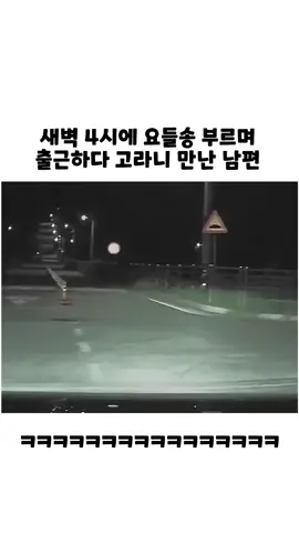 ㅋㅋㅋㅋㅋㅋㅋ. . . . #반전 #감동 #파사삭 #ㅋㅋㅋㅋㅋㅋ #유쾌 #shorts #shortsvideo  #웃긴동영상 #유머 #빅재미 #유머저장소 #퍼니클럽