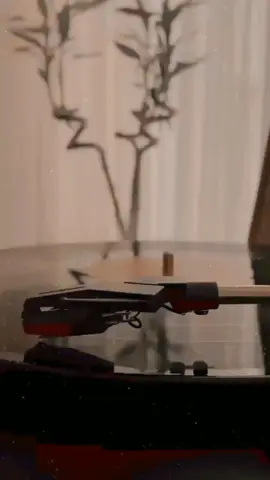 🖤...!  #exploreeverything #exploremore #followme #fypシ #أغاني_تركية_مترجمة #اكسبلورexplore 