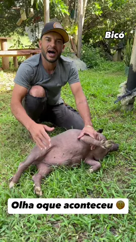 Olha o que aconteceu com bicó🫢
