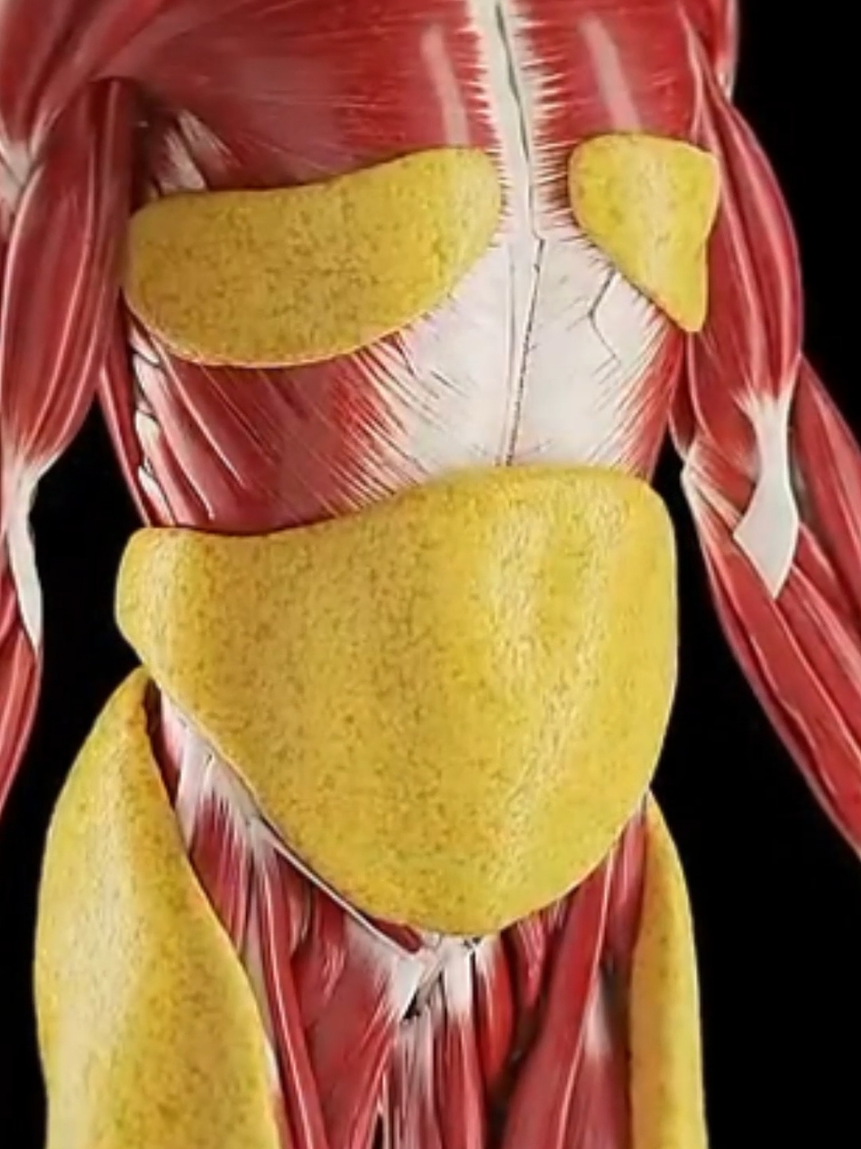 benefícios do jejum intermitente  #jejumintermitente #diabetes #diabtestipo2 #saude #Saude #jejumintermitente24hs #jejumintermitente16h 