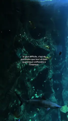 …#pourtoi 