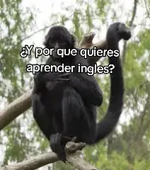 yooo jajaja #videoviral #humor #fyp #xxx 