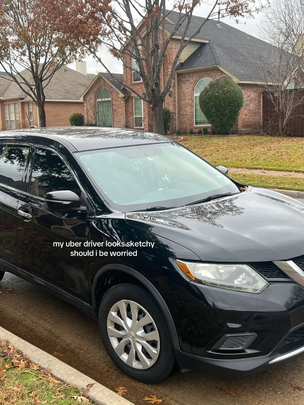 both hands on the wheel & eyes on the road #cat #uber #whosdrivingthisbus 