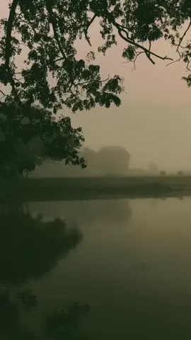 Serenity