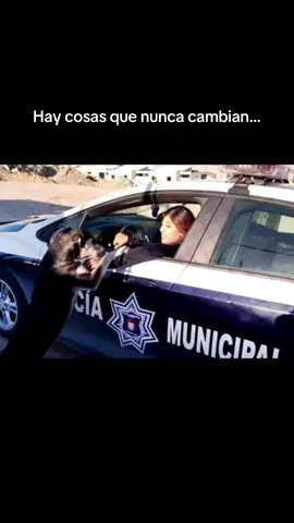 Diferente profesión, mismo corazón 💙 #policia #godin #doglover #sangreazul 