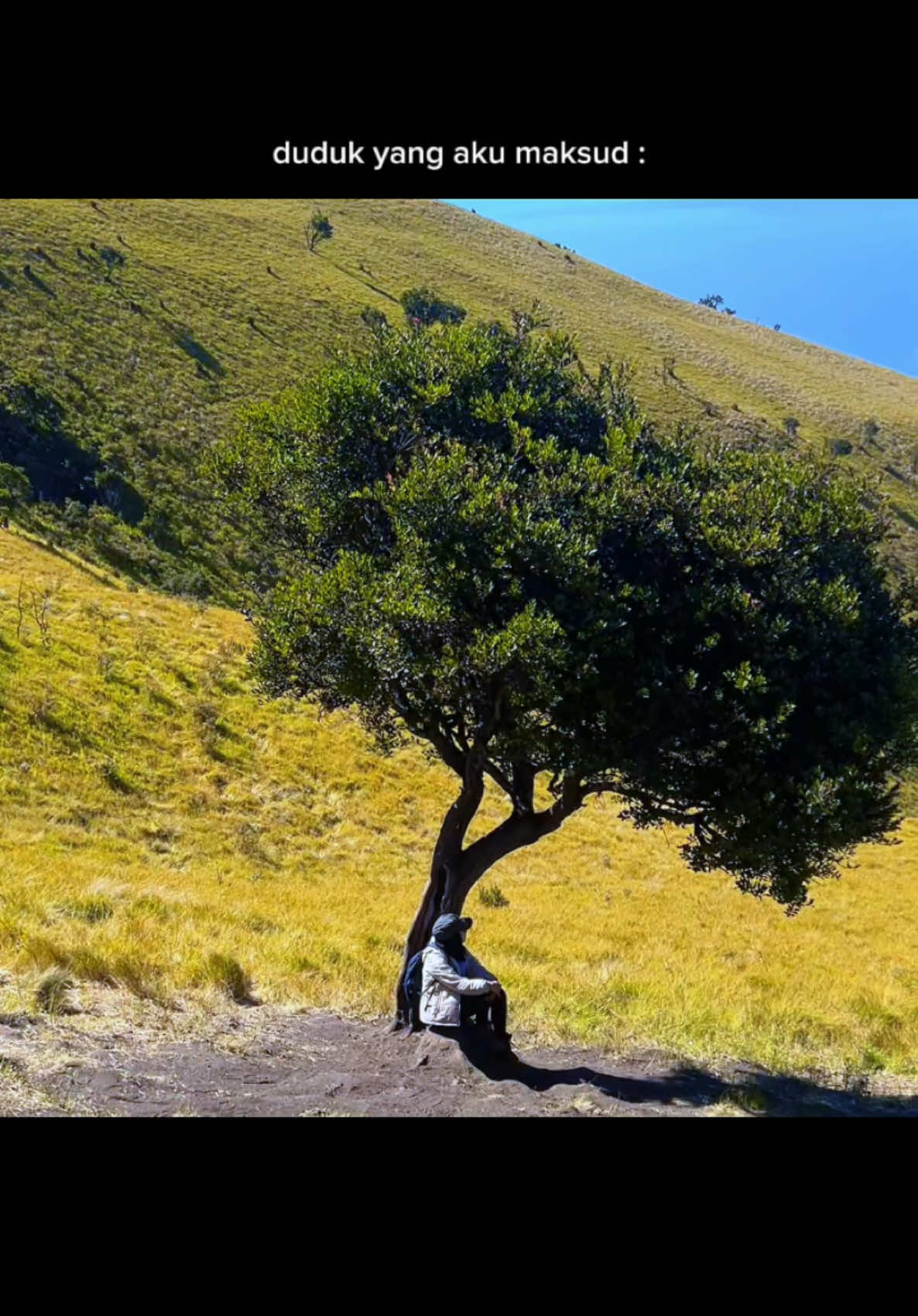 akhirnya ada yg nemenin, ngga sendiri lagi