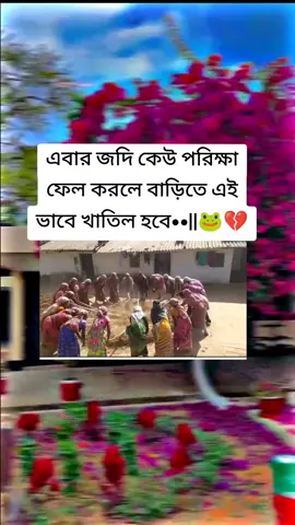 মনে থাকে জেন 🐸 .. .. .. #foryou #foryoupage #unfrezzmyaccount #for #fypシ @TikTok Bangladesh 