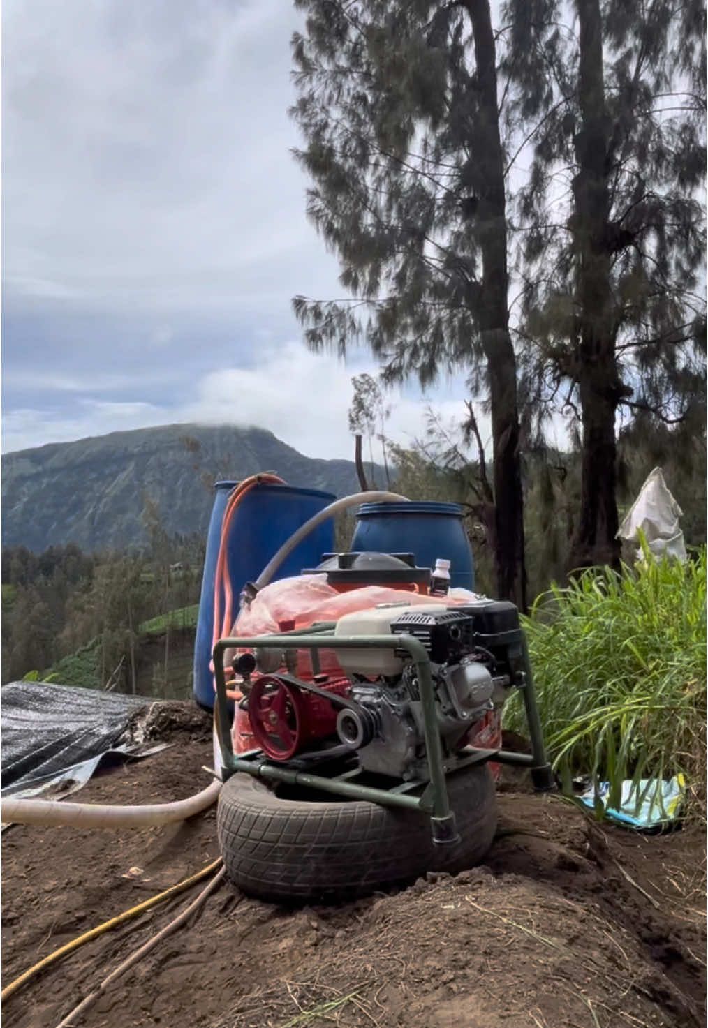 🍃🍃 #CapCut #fyp #fypシ゚viral 