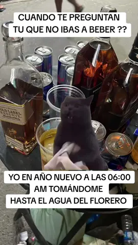 Se me calentó el hocico #CapCut #beber #añonuevo #alcohol #humor #latino #felizaño2025 #fyp  #paratiiiiiiiiiiiiiiiiiiiiiiiiiiiiiii 