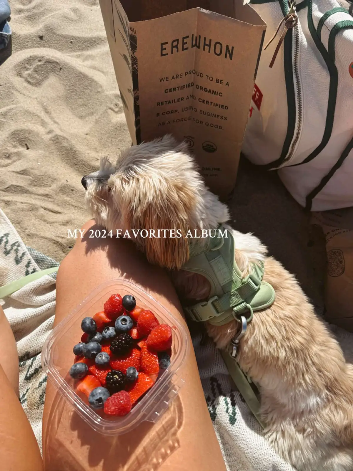 First full year in LA! #2024recap #2025 #newyears #aesthetic #healthylifestyle #wellness #socal 