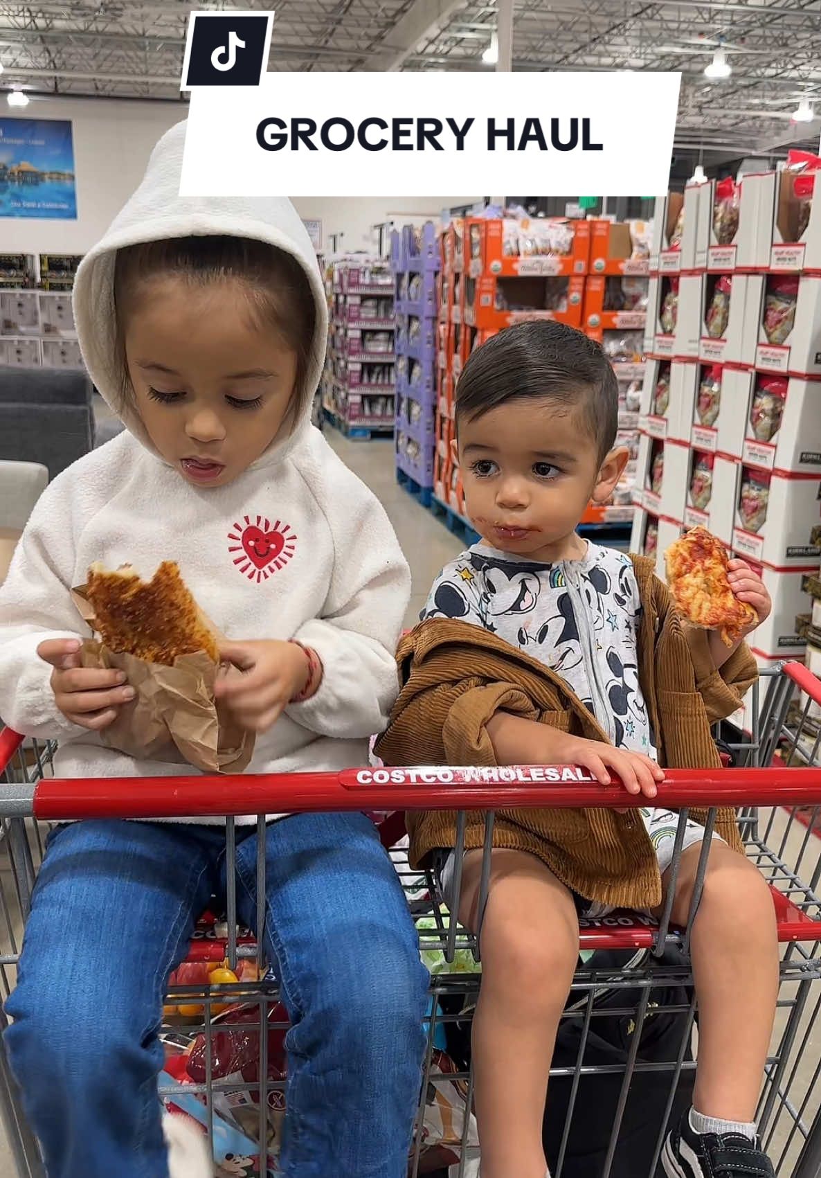 What do you guys think I spent? Also, this phone holder? AMAZING #lisen #groceryhaul #momlife #fyp #tiktokholidayhaul 