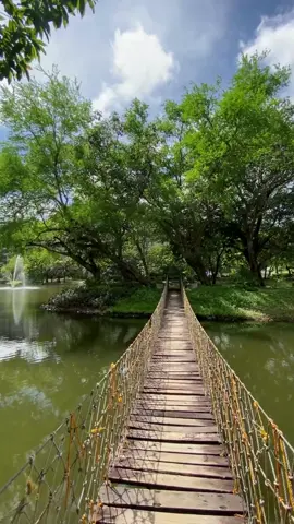 Feel the calm and beauty of Hamilo Coast’s Lagoon as you cross the scenic hanging bridge #Batangas #Nasugbu #nature #luxurylifestyle #paradise