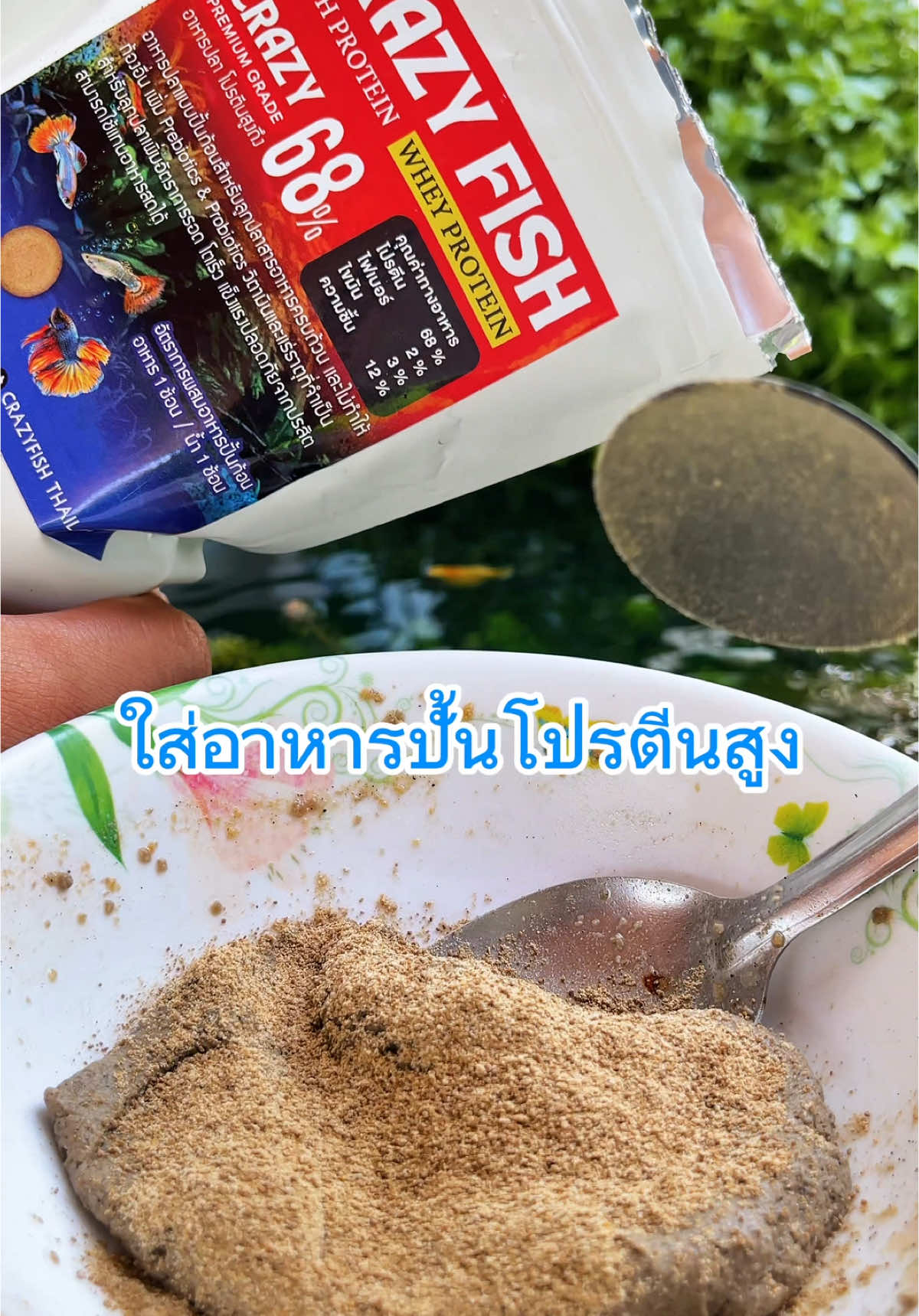 ส่วนที่ 198 | ผสมอาหาร4อย่างและแร่ธาตุให้น้องปลากัน รสชาติใหม่ๆไฉไลกว่าเดิม #เทรนด์วันนี้ #ปลาสวยงาม #ปลาบอลลูน #เลี้ยงปลาบอลลูน #อ่างเลี้ยงปลา #อาหารปลา #อาหารปลาโปรตีนสูง #ปลาบอลลูนปลวกแดง #ปลาบอลลูนระยอง #ปลวกแดง #ระยอง #ฟีดดดシ #fyp #suriyafishhouse 