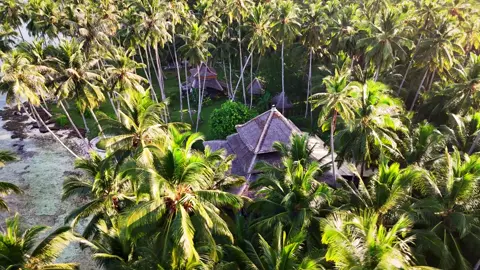 Welcome to nias, Pulau tello #pulaunias #nias #yaahowu #pulautello 