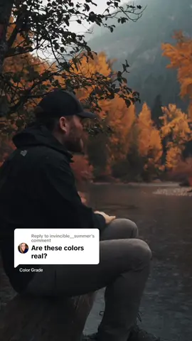 Replying to @invincible__summer Pretty close, I just go a bit moodier. This is a contrast of how it looked, or at least really close.  #colorgrade 