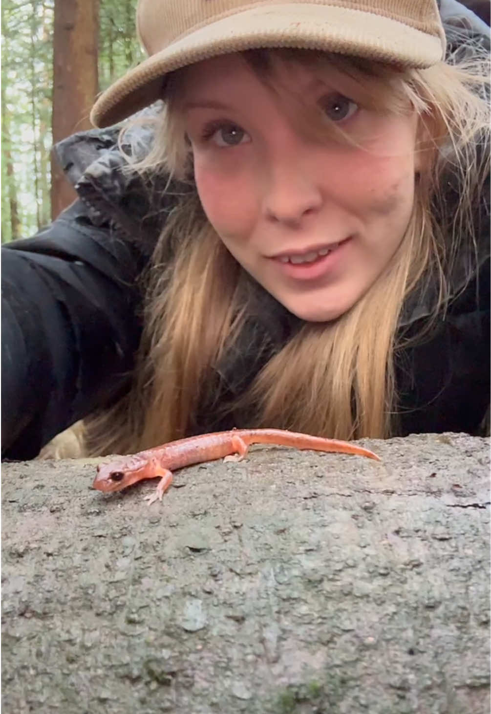 The Ensatina Salamander!  Ensatinas are a lungless salamander that can be found in the forest under rotting logs and debris. They can even be found in December such as this little guy during mild coastal winters. Ensatinas do not have a larval stage and eggs are laid on land instead of in the water and hatch into miniature adults! How cool is that?!!  #herping #salamander #ensatinasalamander #herpetology #newt #frog #amphibian #fishing #hunting #naturefacts #nature #forest #biology #animal #AnimalFacts #holidays #newyearseve #newyear #holiday #trees #girlswhofish #womenwhofish #Outdoors #outdoorwomen #Hiking #camping #ladyangler #mushroom #winter
