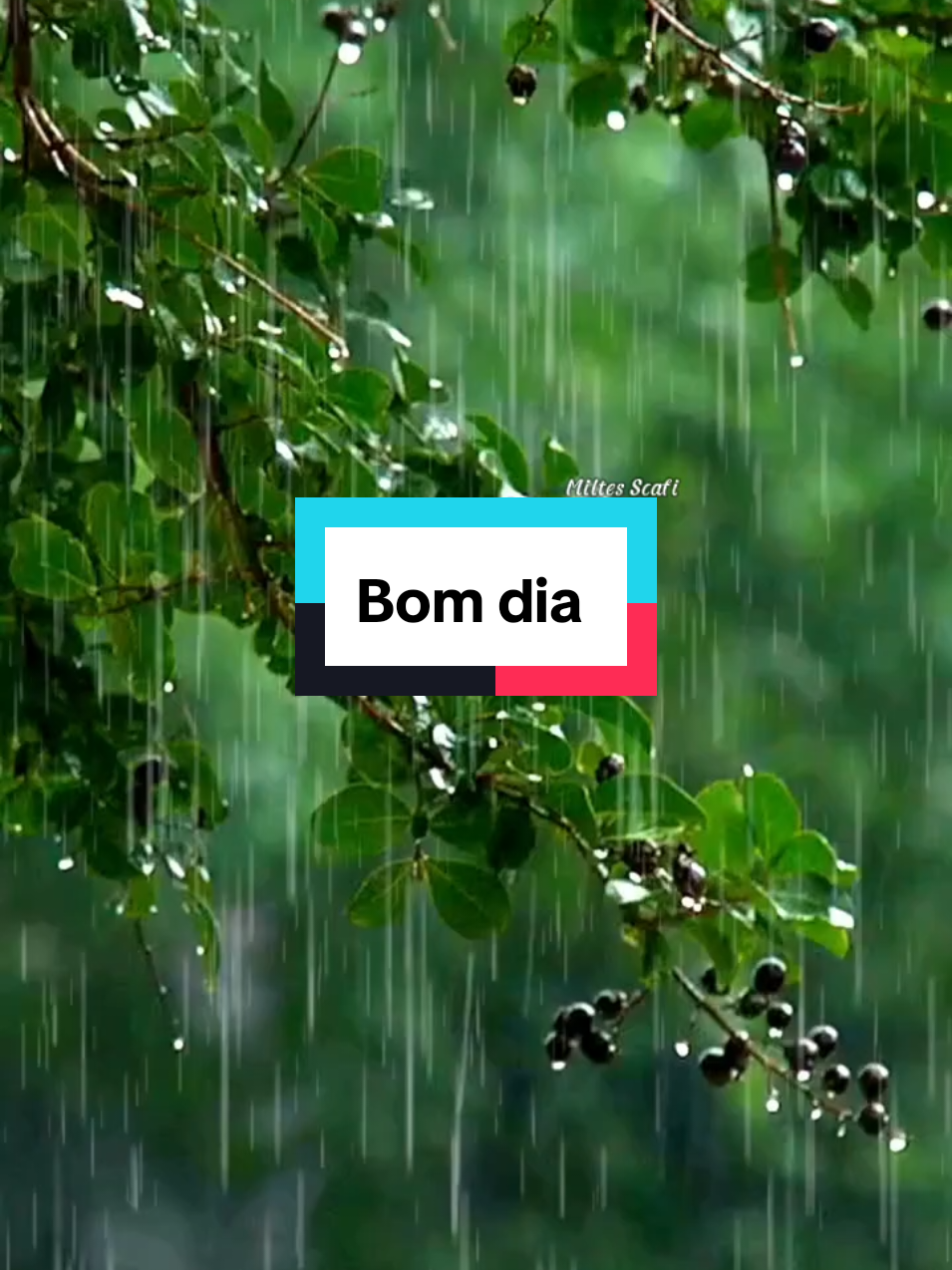 #bomdia #follwme #viraltiktok #likeforlike #aesthetic #chuva 