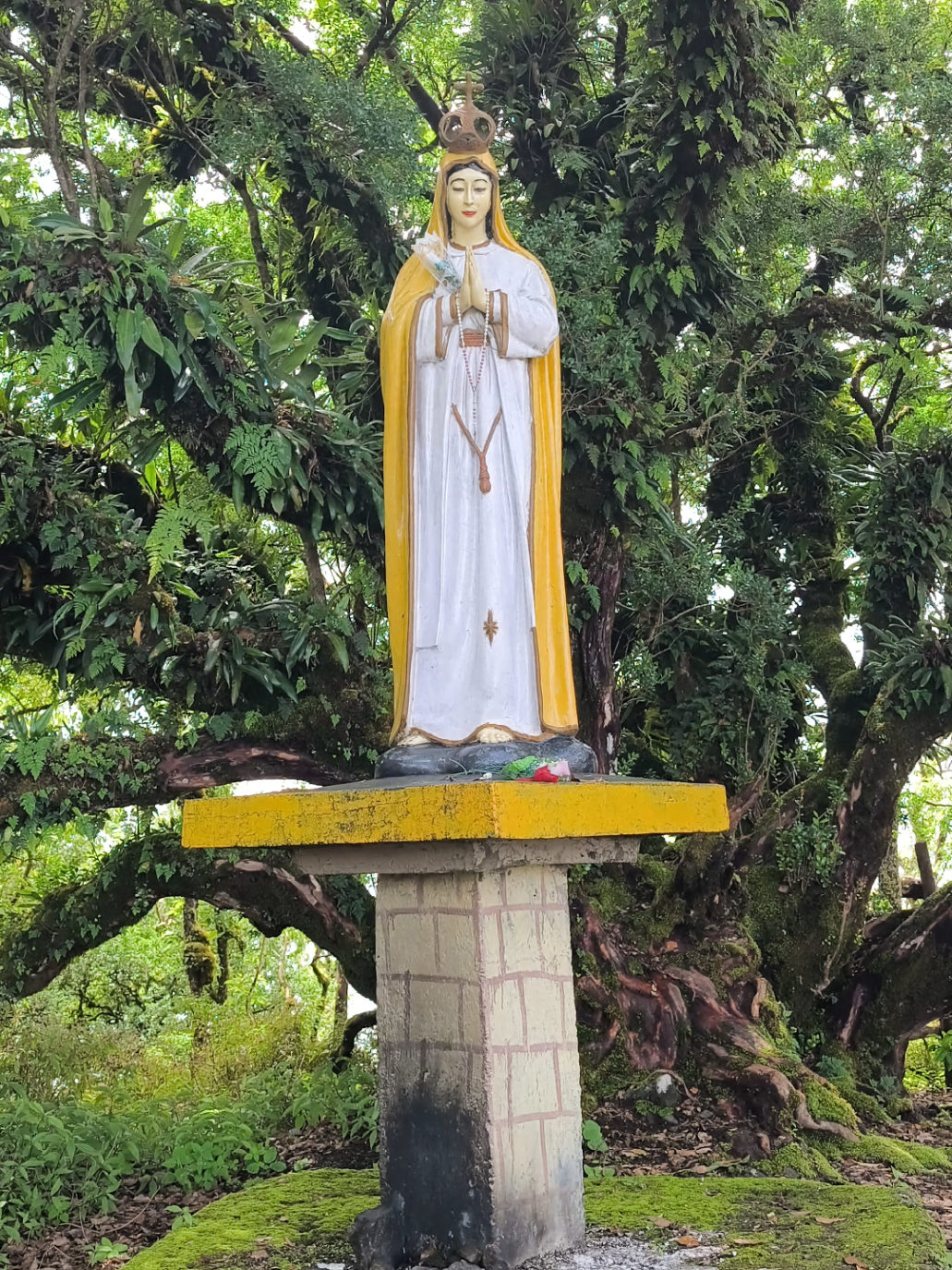 Patung Bunda Maria di Puncak Lakaan  #bundamaria  #nature 