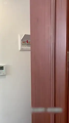 🎉Buy 2 Get 1 Free🎉2-in-1 High Torque Strong Magnetic Screwdriver Electricity Detector