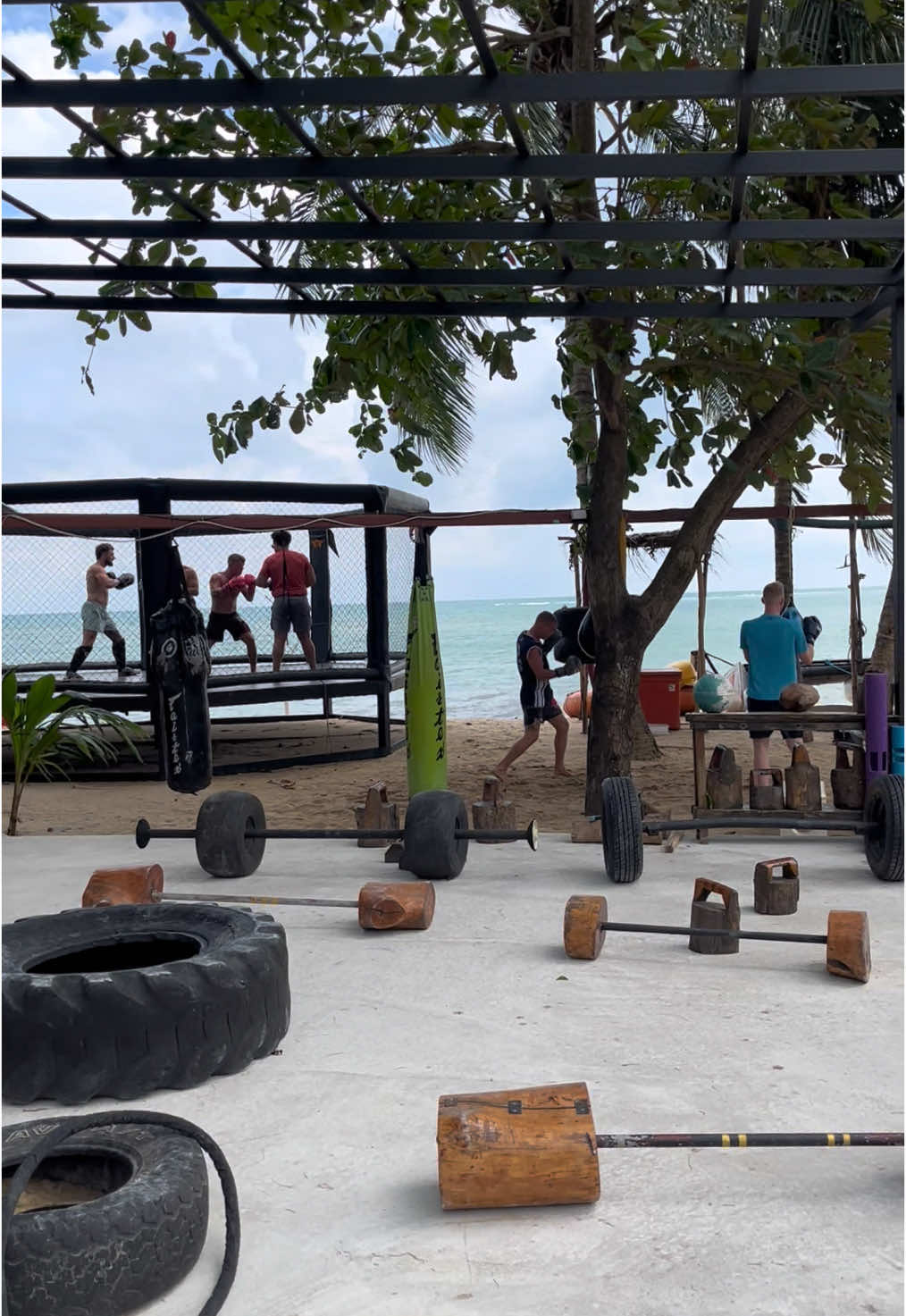 Join our Jungle GYM membership and get free access to: • Boxing gears 🥊 • Octagon 🛑 • Ice bath 🧊 • Kayak 🚣🏼‍♂️ For 300 baht a day ONLY ✨ #kohsamui #thailand #jungle #beach #muaythai #boxing #kickboxing #kick #Fitness #mma #workhardplayhard #sports #UFC #gym #GymTok #gymmotivation #BeachVibes 