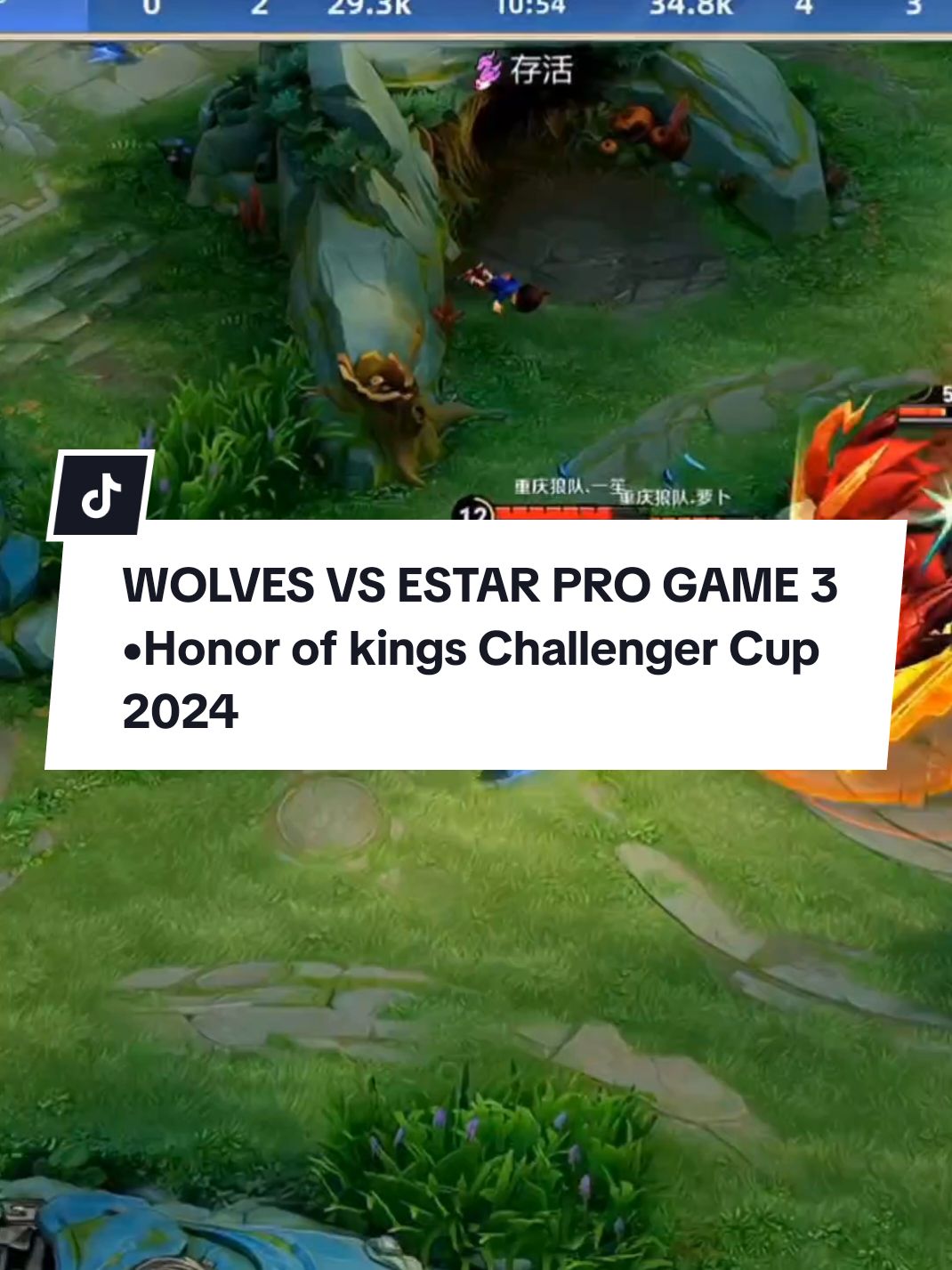 What a Move jing!!! WOLVES VS ESTAR PRO Game 3 •Honor of kings Challenger Cup 2024 #honorofkings #honorofkingsindonesia #honorofkingsglobal #hokstudio #hokcreator #HoK #HonorofKings #HoKstudio #hokcarnival #HOKWindahVP #SUARABASUDARA #HOKID #KPLCN #HOKCN #CHALLANGERCUP 