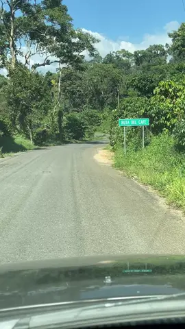 finca argovia, ruta del Café en Tapachula 
