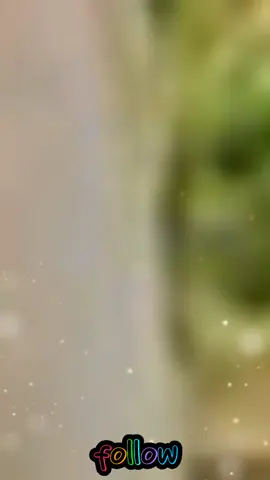 یہ بادل ایک دن #viralvideo #standwithkashmir #foryoupage #foryou #creatorsearchinsights #imranaliwaryah #viral 
