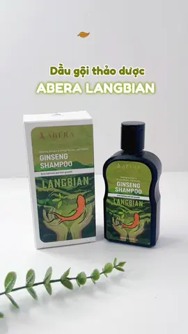 Dầu gội thảo dược hỗ trợ kích thích mọc tóc , zảm gàu nấm ngứa 150ml  ABERA #moctoc #abera #daugoisamlangbian