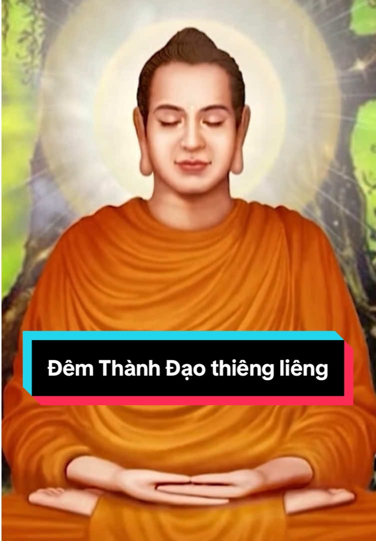 Đêm Thành Đạo thiêng liêng☀️ #phatphapnhiemmau #daophattrongtraitimtoi #phatdaydieuhay #phatday #podcasts #daoly #chualanh #anhtrangdaoly #dichua #trending #capcut #ducphatthanhdao #viral #batchanhdao #CapCut 