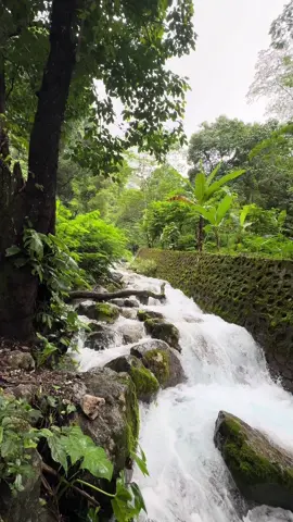 Entre Fatin Tolu ne'e: Mota ERLESU, RAI-KOAK ho MERBUTI💦 ida ne'ebe mak O sente ona nia fresku?? 🤔#fyp #naturevibes #timorleste🇹🇱 #Ambientefreskumanufahi 