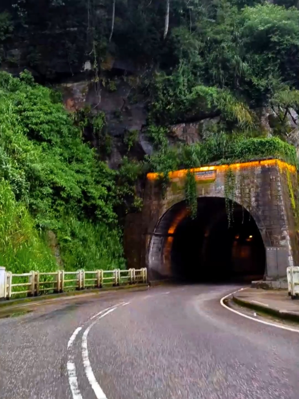 හිනැහීලා තිබුනාවේ... 🍃✨️ #ramboda #rambodatunnel #nuwaraeliya #nuwaraeliya_srilanka #roadtrip #december #weekend 